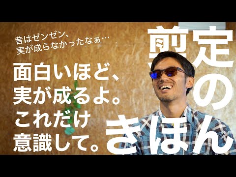 秋に剪定してはいけない果樹はどれですか?またその理由は何ですか? + 剪定してはいけない木のリスト  庭園