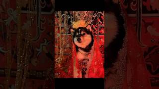 Download lagu Manyu's Immersive SPA | Indian Style mp3