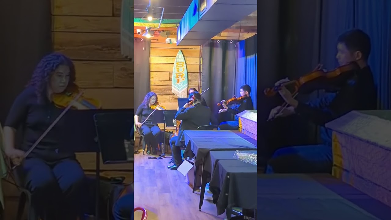 Promotional video thumbnail 3 for Alex's Strings