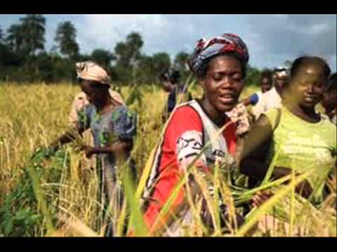 Kesegie - Yokee Bleek ft. Ross