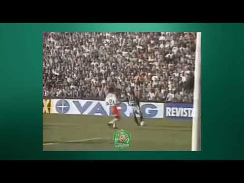 Djalminha INSANO: 3 gols em 21 min! Palmeiras 4x0 Botafogo-SP (1996) 🤯💚 �