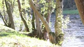 preview picture of video 'Scotland, Tweed river, 2013 - The movie.'