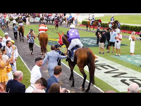 2020 National Broodmare Sale - Invincibella