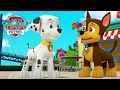 Mighty Pups Save The World PAW Patrol Cartoons For Kids