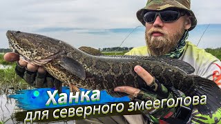 Рыбалка на озере ханке