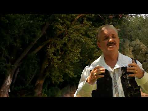 🎤𝐕𝐚𝐬𝐢𝐥𝐞 𝐂𝐨𝐧𝐞𝐚-  Nu am nimica de dorit