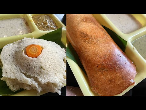 🌟ഒരു ദോശ കിട്ടാനുള്ള അങ്കം! | Dosa and Idli at Central Tiffin Room, Bengaluru