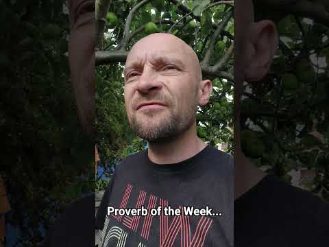 Impro(ve) video.