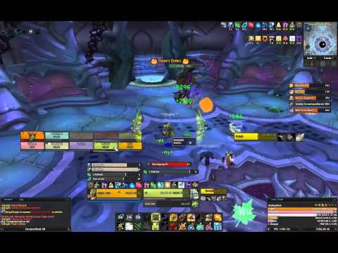 Singularity vs Cho'Gall - Resto Druid PoV