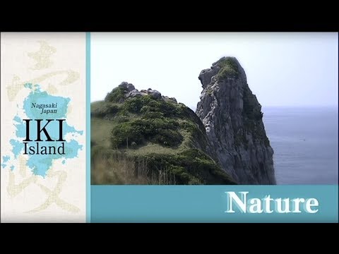 Amazing Island IKI - English -