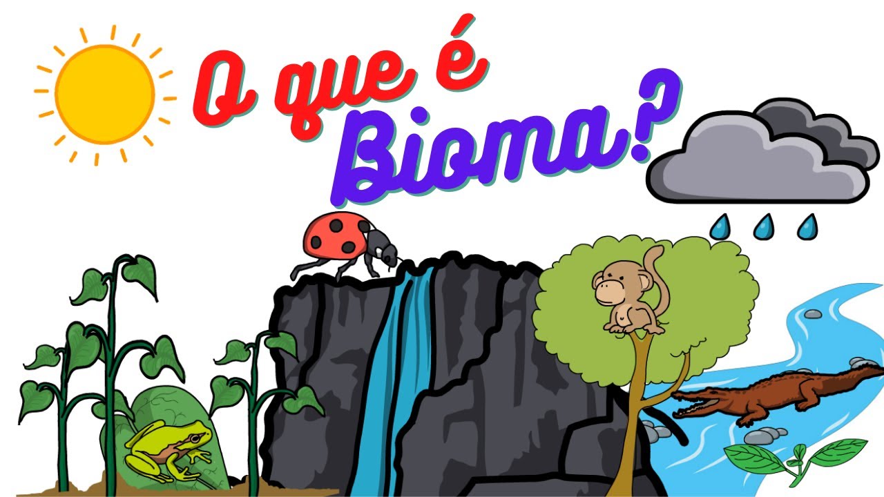 O que é bioma