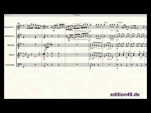 Oginski Polonaise Farewell to the Fatherland Mandolin Orchestra Valdo Preema Zupforchester