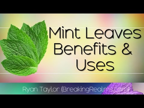 image-Is mint a spice or herb?