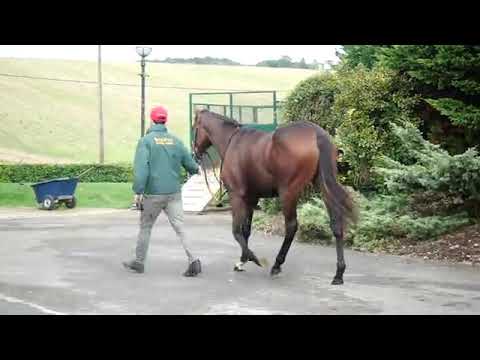 Muhaarar x Inyordreams