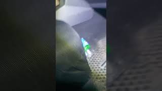 Rider