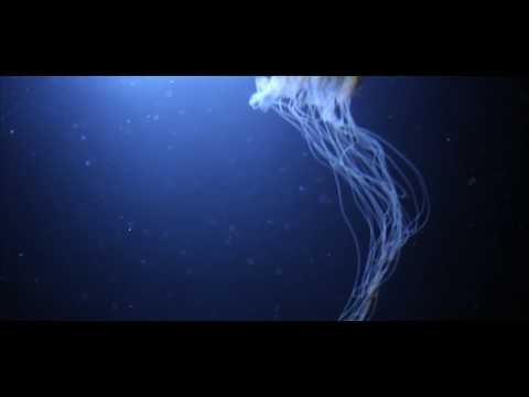 Mr Slipz - Craters ft. Capriisun (OFFICIAL VIDEO)