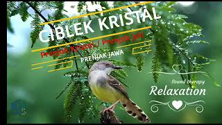 Download lagu SUARA BURUNG CIBLEK KRISTAL || MASTERAN BURUNG || PRENJAK JALI GACOR mp3