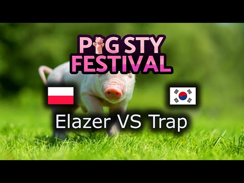 Elazer VS Trap - ZvP - PiG Sty Festival - polski komentarz