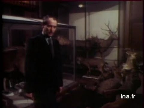 MUSEUM OF NATURAL HISTORY