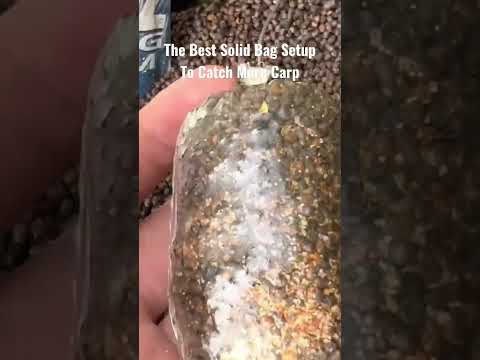 The BEST PVA SOLID BAG Setup To Catch More Carp! 🤯 #Carp #SolidBags