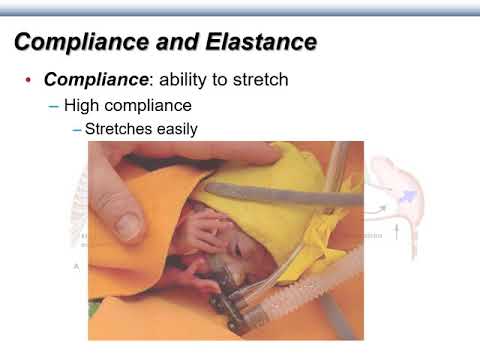 17c - BIOL 330 - Chapter 17, Part 3 - Ventilation Physiology