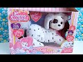 Puppy Surprise Gigi the Dalmatian Dog Toy- How ...