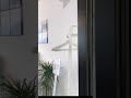 Fachhochschule der Wirtschaft Video 
