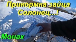 Прикормка на зайца зимой своими руками