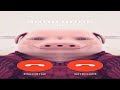 Slowed John Pork Is Calling For 5 Minutes