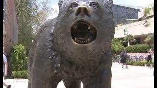 UCLA Admissions Office Mistake