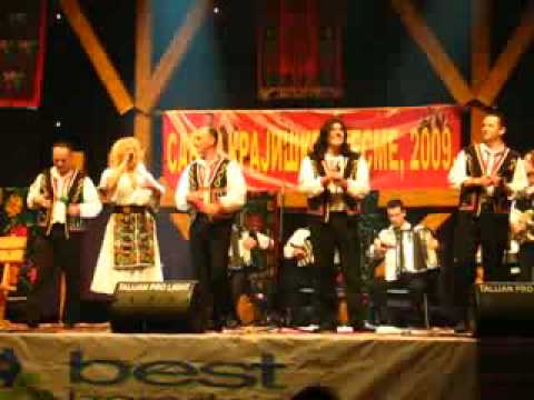 SINOVI MANJACE VERA MATOVIC BORIK 2009