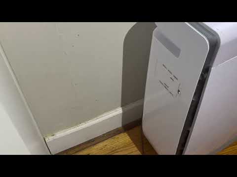 Ants Marching Throughout Customer's Kitchen in Lincroft, NJ