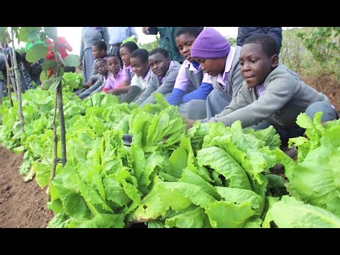 Photos & Videos — Jacaranda Foundation