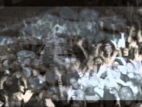 Kulibe na Wina - TMB Feat Marky2 & Chef 187.Unoffical video .......Streets on fire