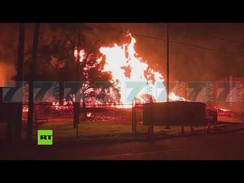 TERMETET «SHKUNDIN» KALIFORNINE,DEME TE MEDHA,BANORET NE PANIK - News, Lajme - Kanali 7