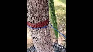 Cestovní šňůra na prádlo s kolíčky – zelená (nastavitelná)