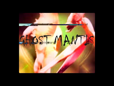 Invaders of the Universe - Ghost Mantis ft. Kromeatose & Mister Misk (Official Music Video)