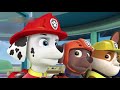 PAW Patrol Full HD Pups Team Episode 21 Pups Save A Bat Pups Save A Toof Funny Movies For KIDs Pa