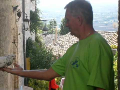 Piotr Miks - Wieczór na Dzikiej plaży-muz.Piotr Miks,sł. Marek Gaszyński