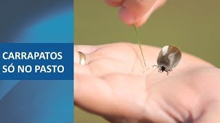 Miniatura do vídeo
