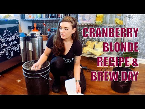 Cranberry Blonde Ale Full Brew Day + Recipe
