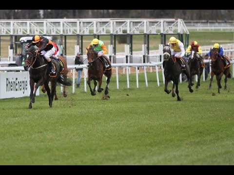 Köln: deinSchrank de - Grand Prix Aufgalopp (Listenrennen) - Sieger: Veneto