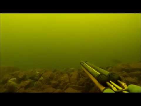 Sukelluskalastus haukia ja ahvenia jytky