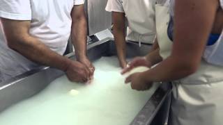 チーズ好きに贈るチーズの旅：「Mozzarella di Bufala Campana DOP」(第二話：モッツァレラの作り方)