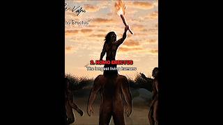 Which prehistoric human are you most likely to survive against? #earlyhumans