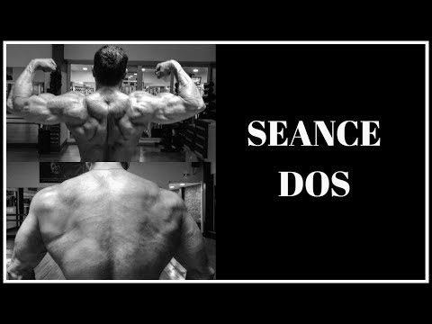 Séance 3/4 : Dos (Programme prise de masse en split)