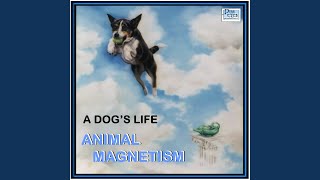 Throw Your Dog a Bone