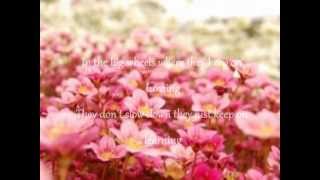 Alice In Wonderland -Lisa Mitchell (Lyrics)