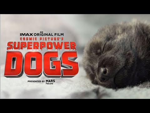 Superpower Dogs (Trailer)