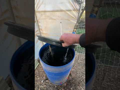 Automate Chicken Water: End Daily Chore Hassles